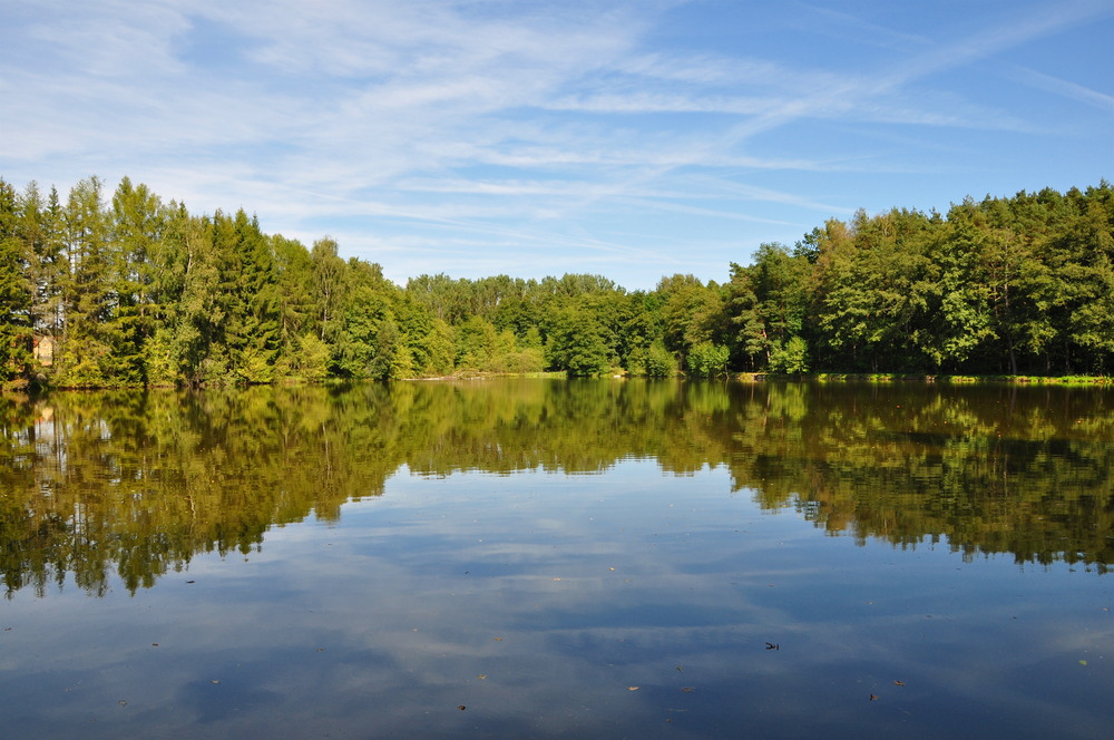 Waldsee