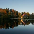 Waldsee