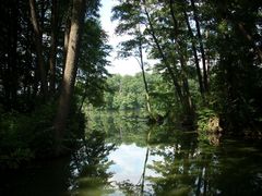 Waldsee