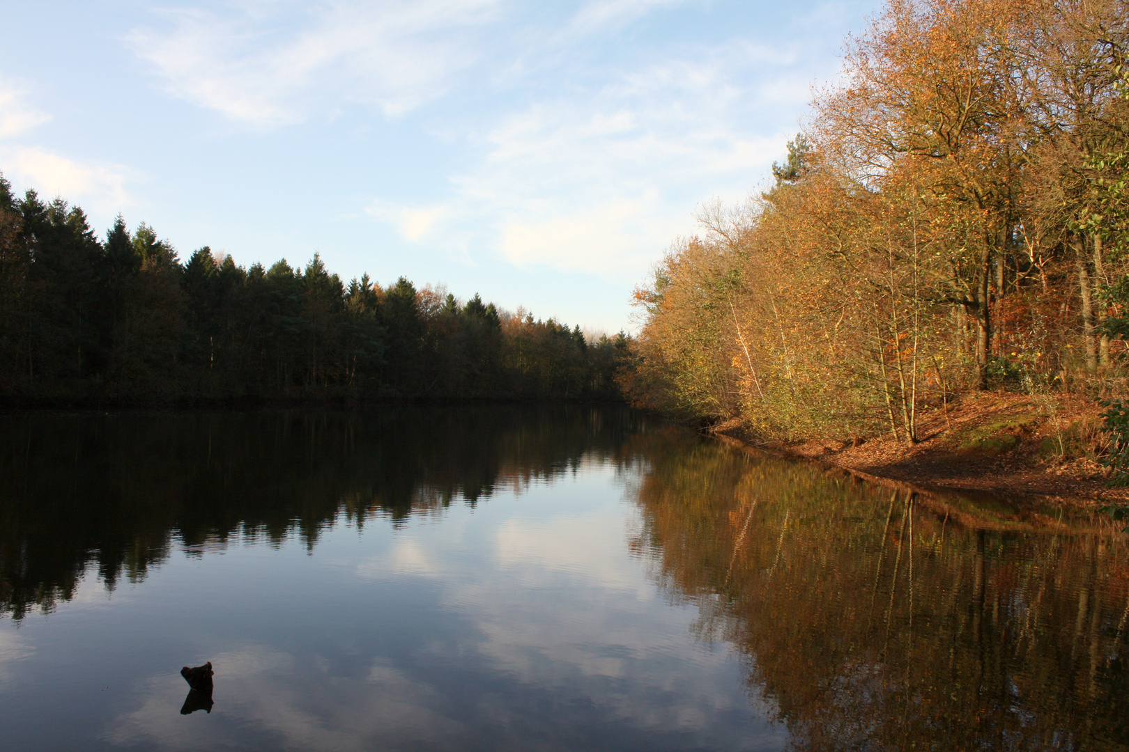 Waldsee