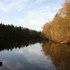 Waldsee