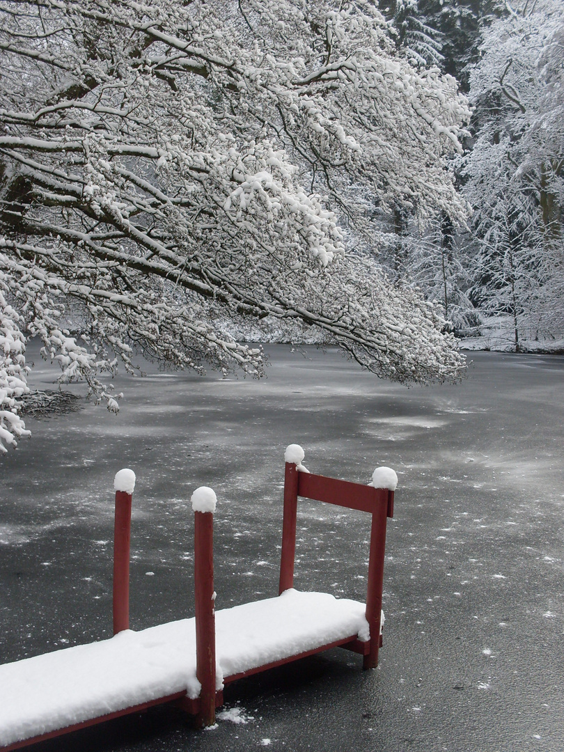 Waldsee