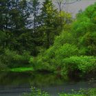 Waldsee...