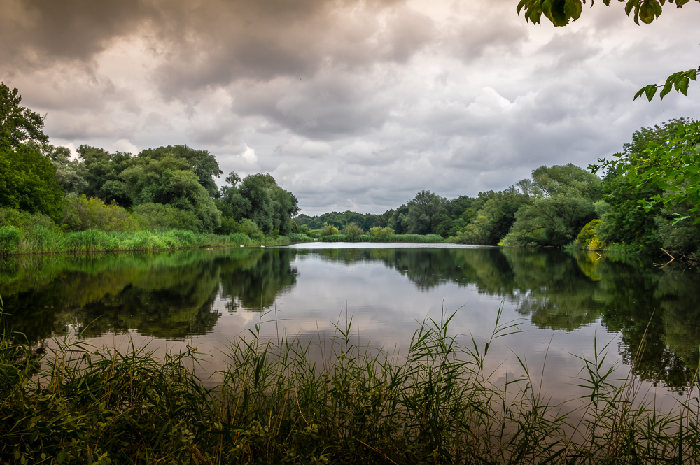 Waldsee