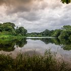 Waldsee