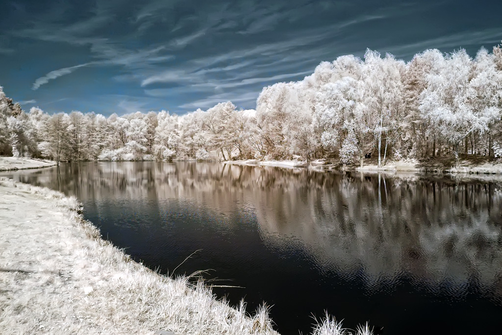 Waldsee