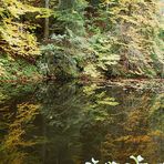 Waldsee bei der Ravennaschlucht