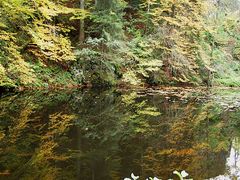 Waldsee bei der Ravennaschlucht