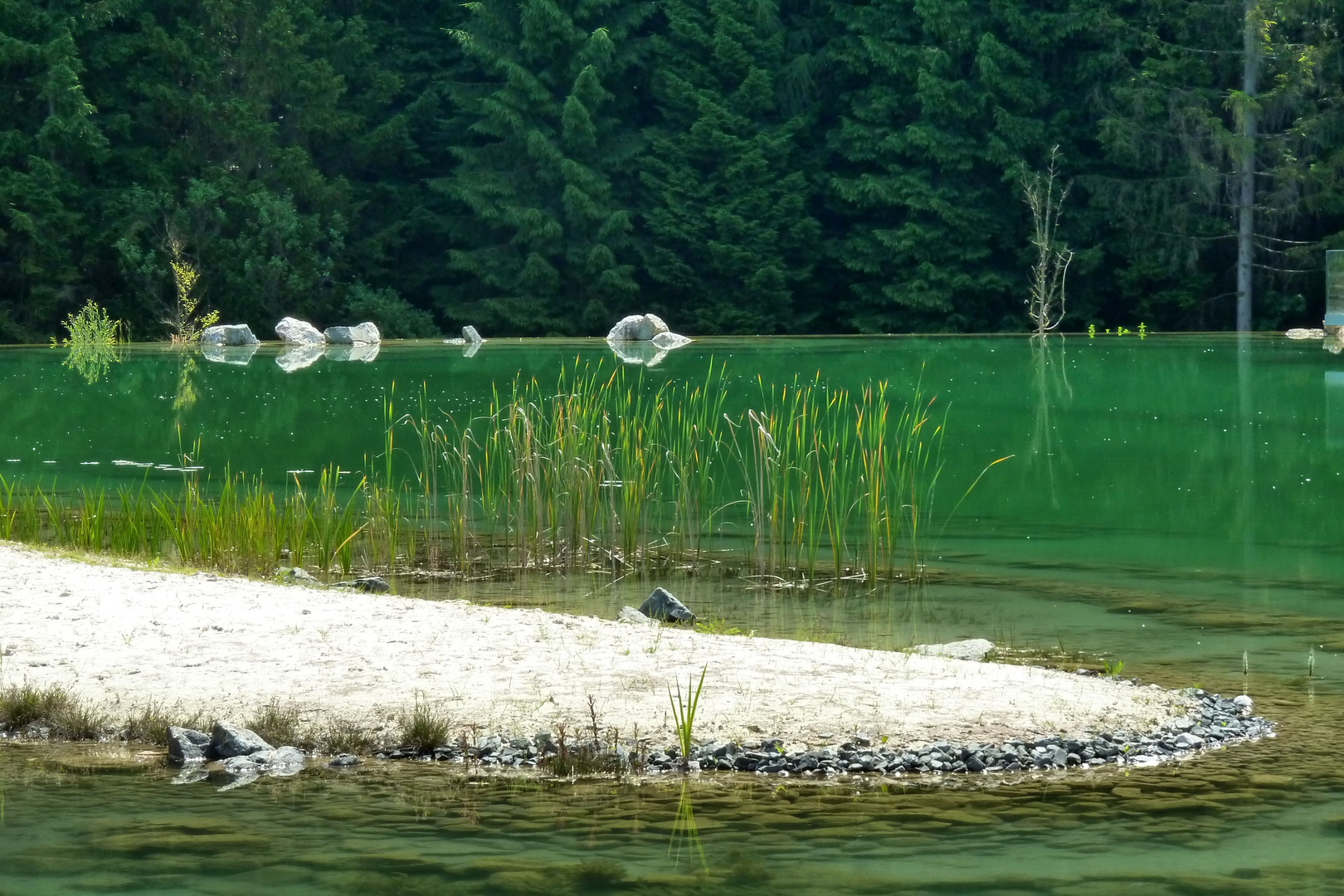 Waldsee bei Fuschel