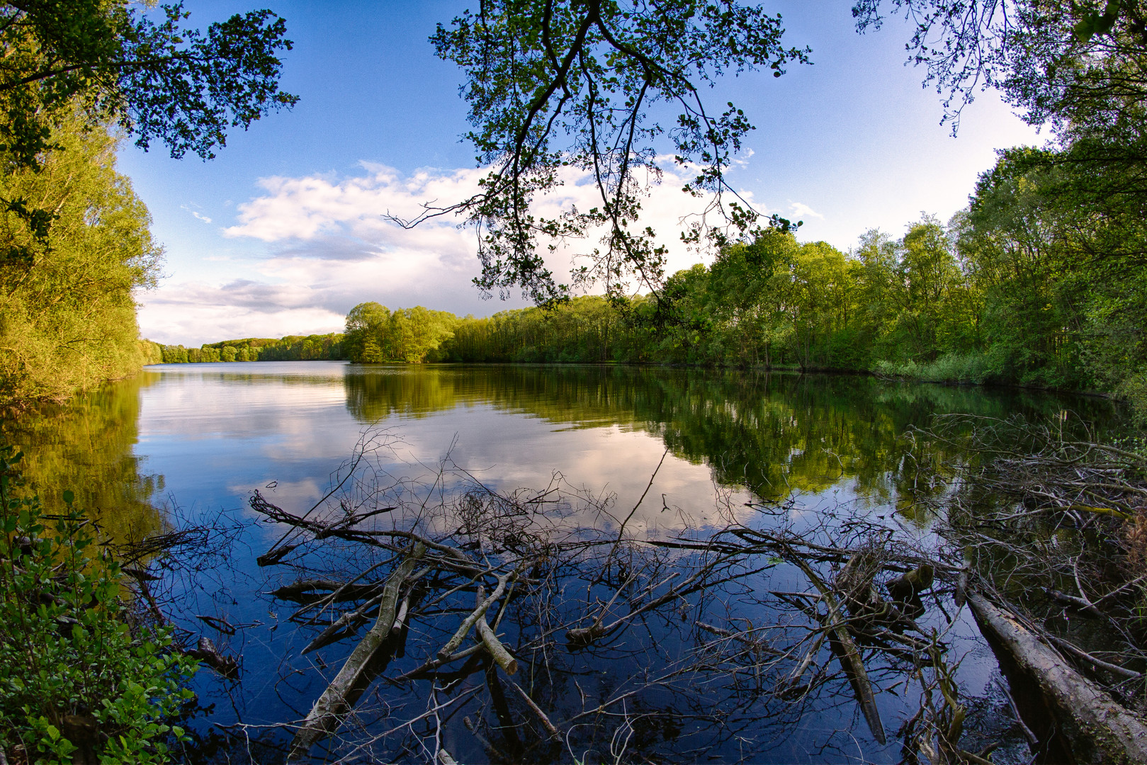 Waldsee bei Geldern Foto & Bild landschaft, bach, fluss & see, see