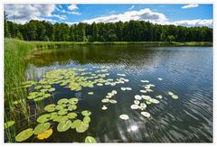 Waldsee