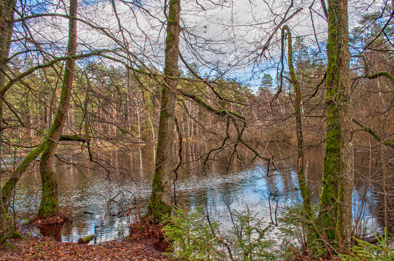 Waldsee