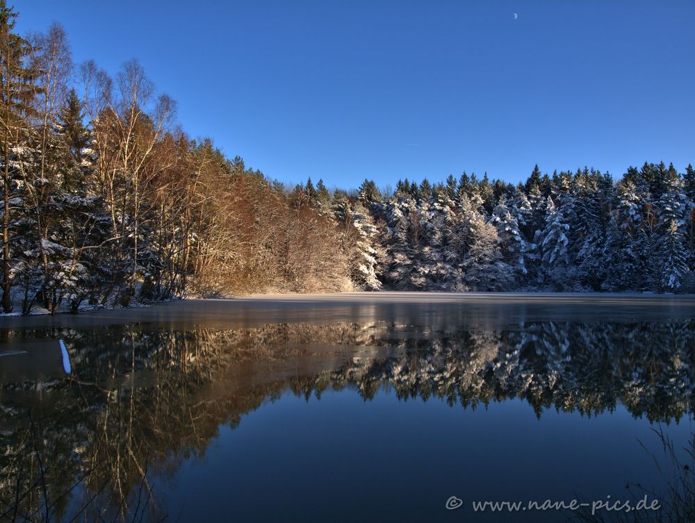 Waldsee