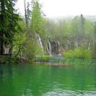 Waldsee