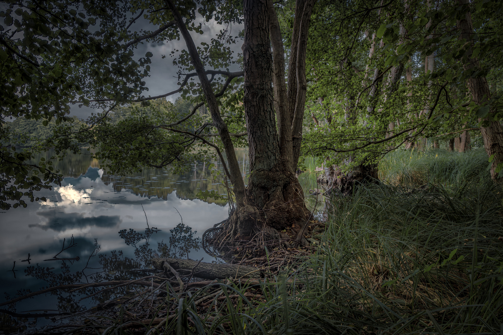 Waldsee