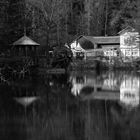 waldsee