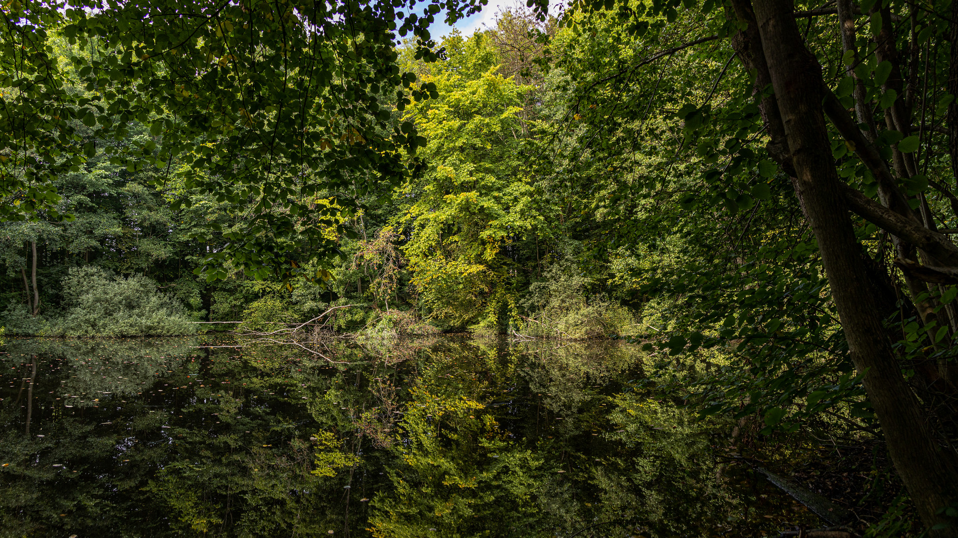 waldsee