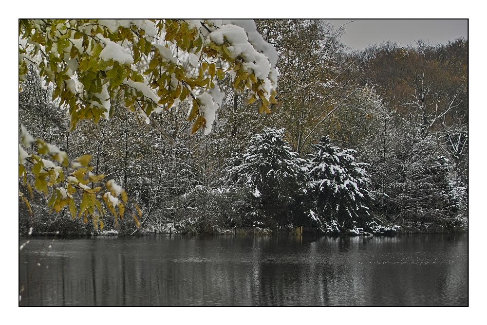 Waldsee