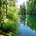 WALDSEE