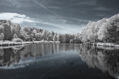 Waldsee Egelsbach