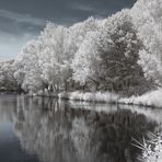 Waldsee Egelsbach Vol II