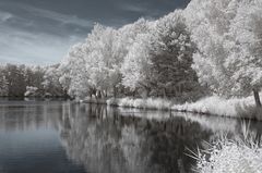 Waldsee Egelsbach Vol II