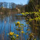 Waldsee