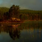 WALDSEE