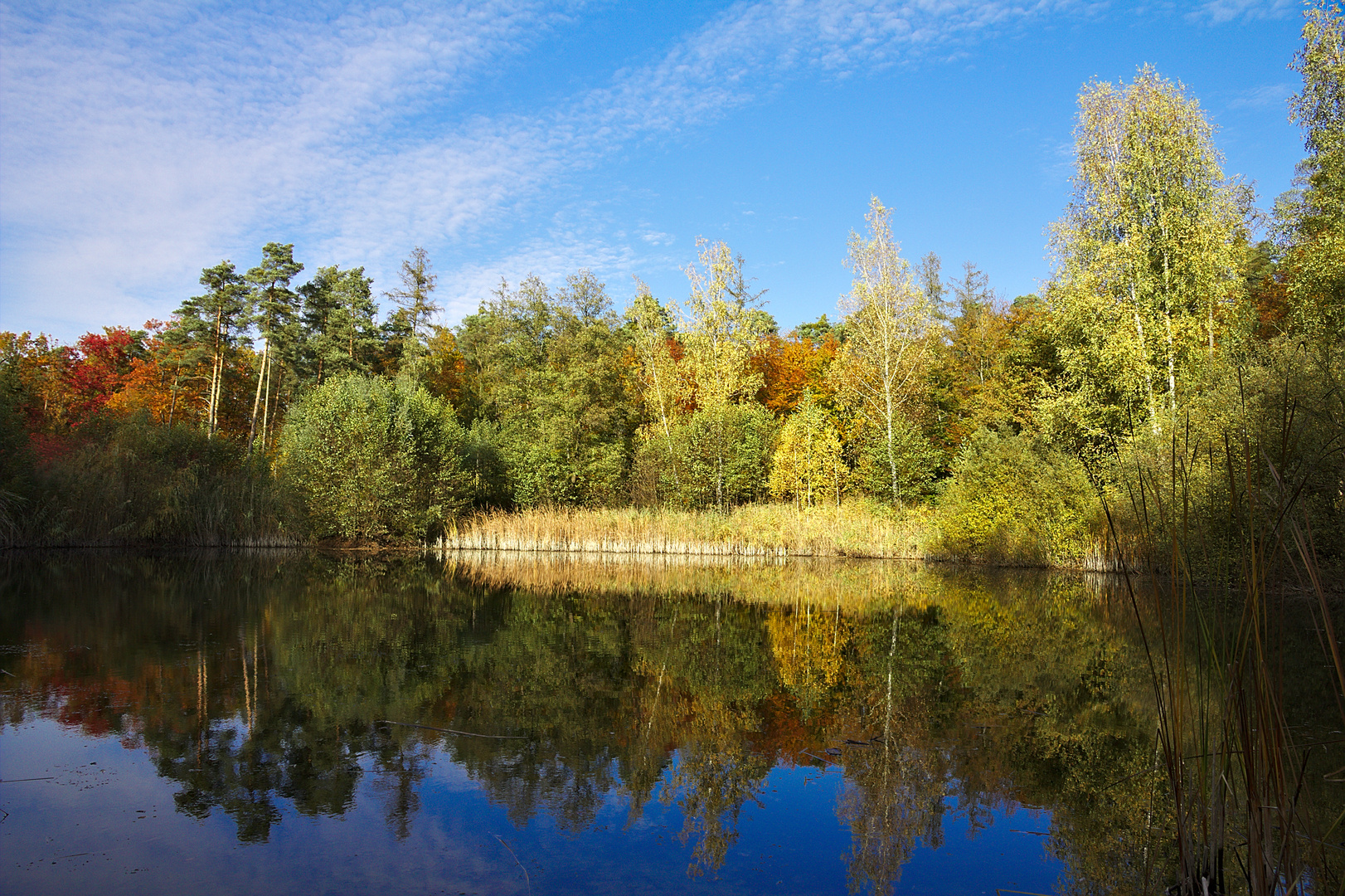 Waldsee