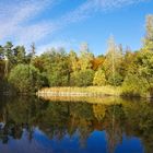 Waldsee