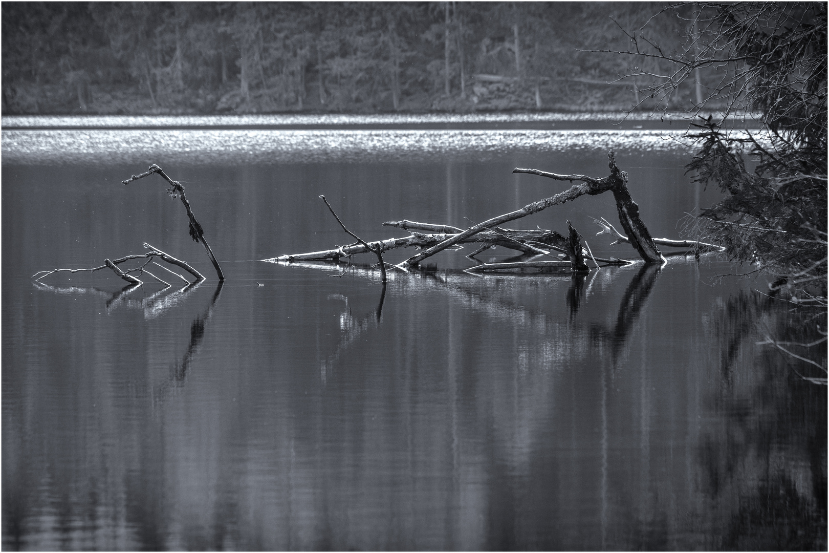 Waldsee