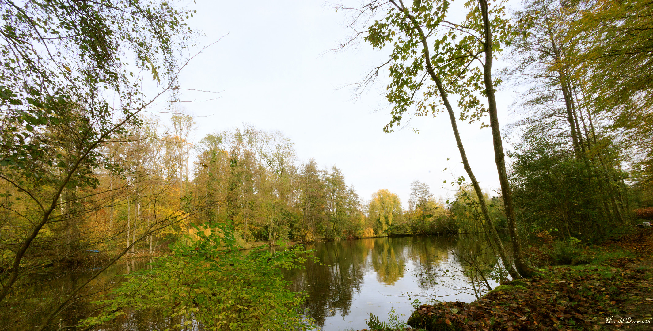 Waldsee Hilsbach