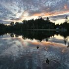 waldsee hoch