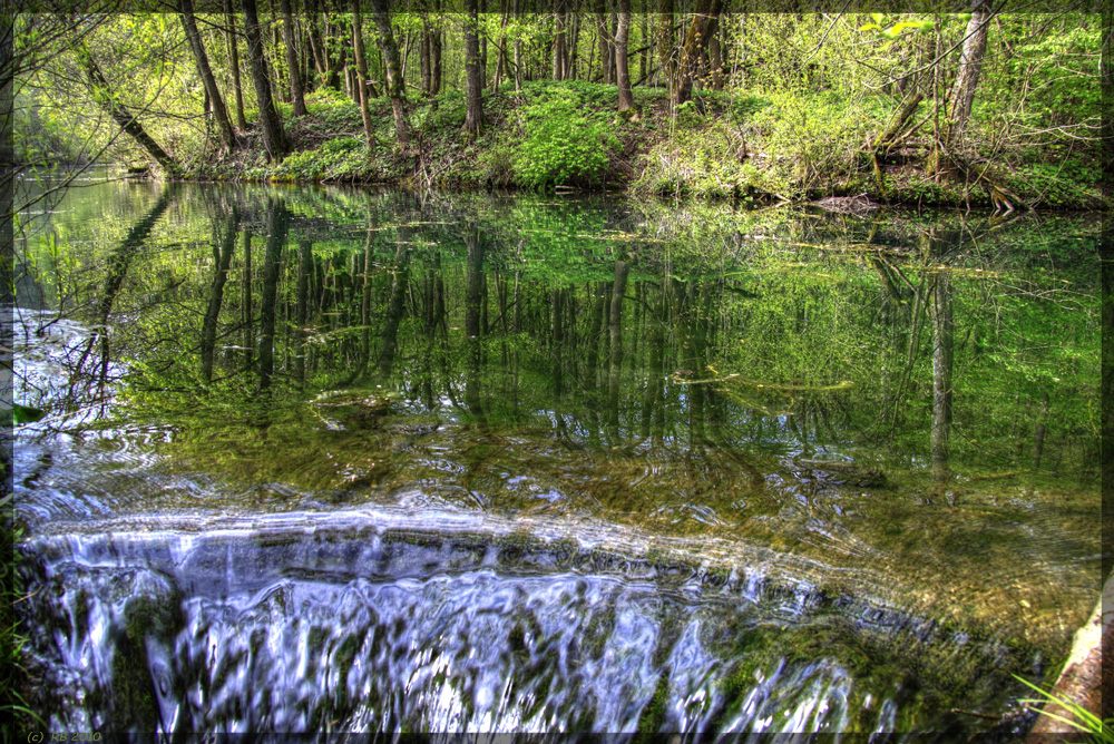 Waldsee-Idyll