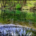 Waldsee-Idyll