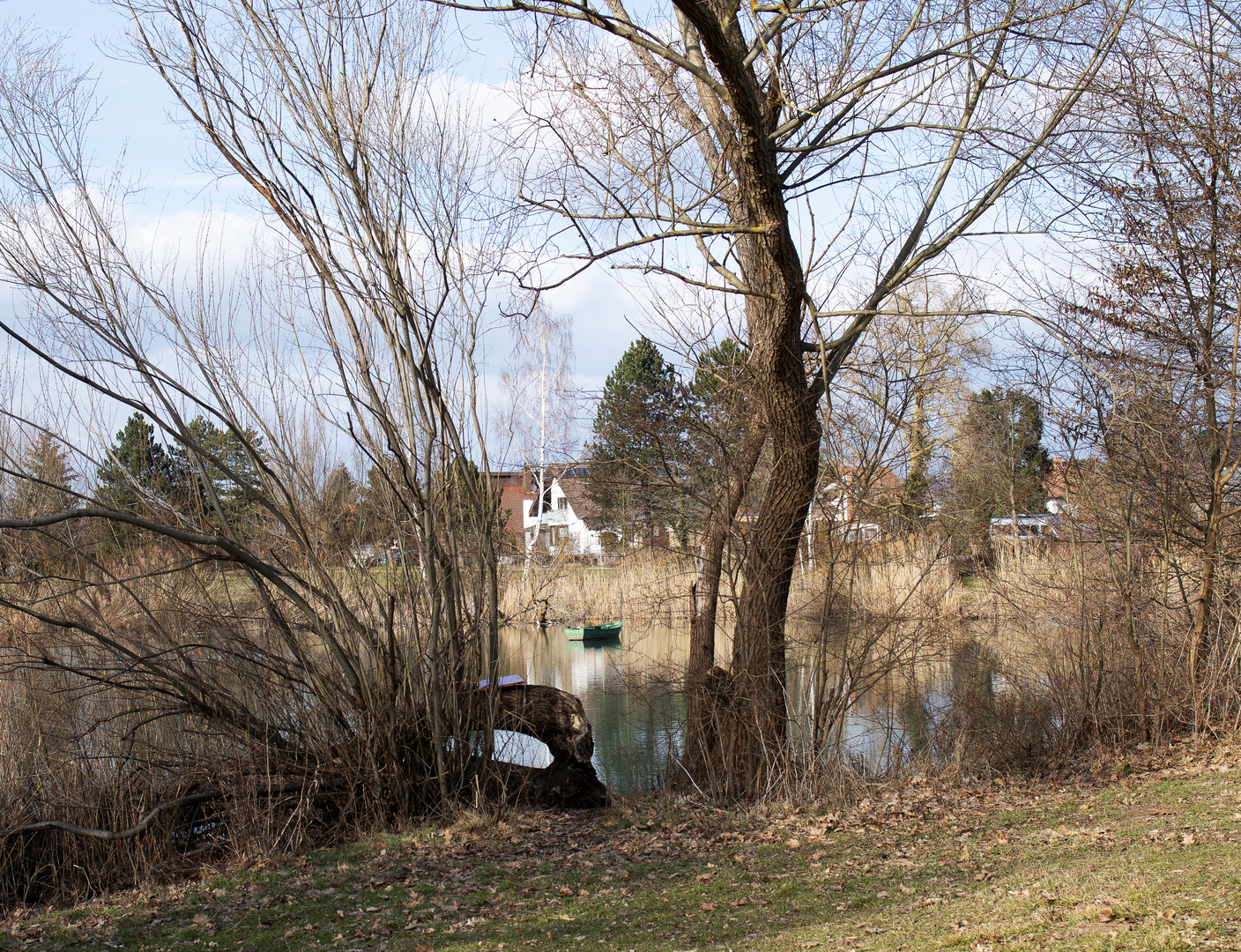 Waldsee-Idylle