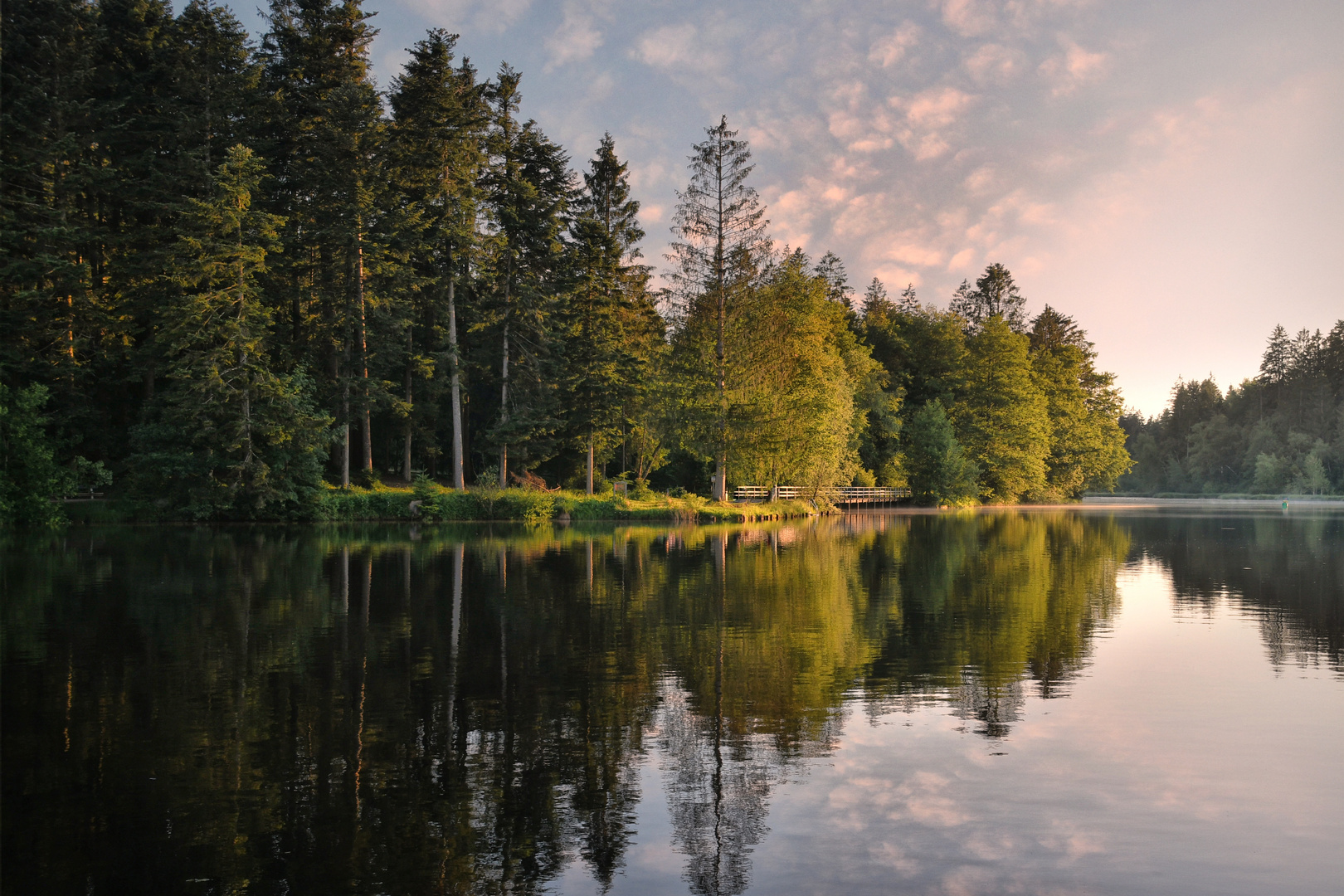 Waldsee Idylle Foto &amp; Bild | world, natur, landschaft Bilder auf ...