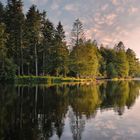 Waldsee Idylle