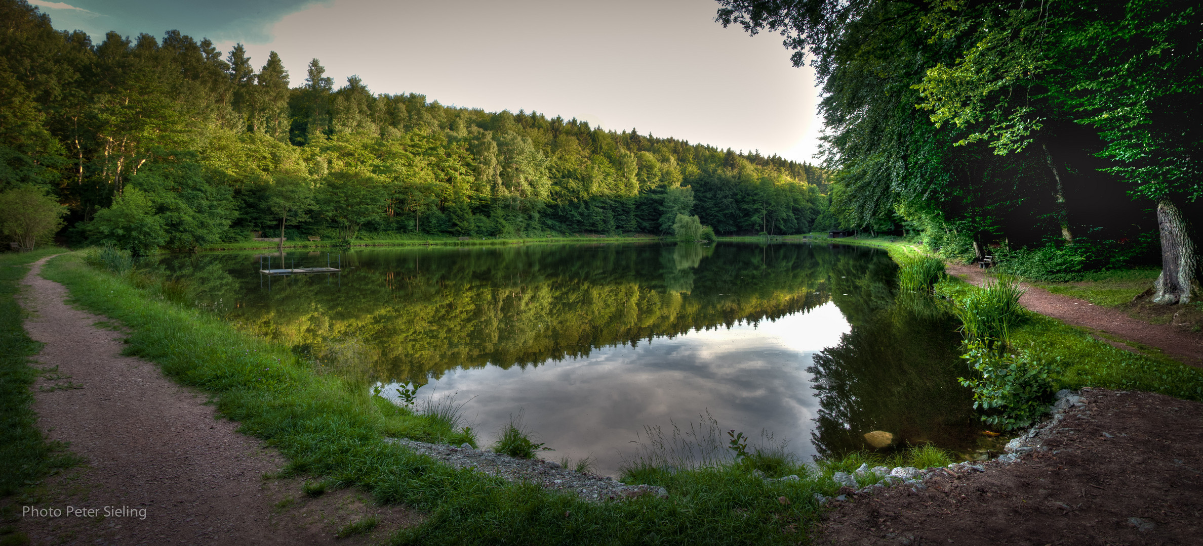 Waldsee Idylle