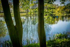 Waldsee II - Krähenwinkel bei Hannover