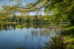 Waldsee III - Krähenwinkel bei Hannover