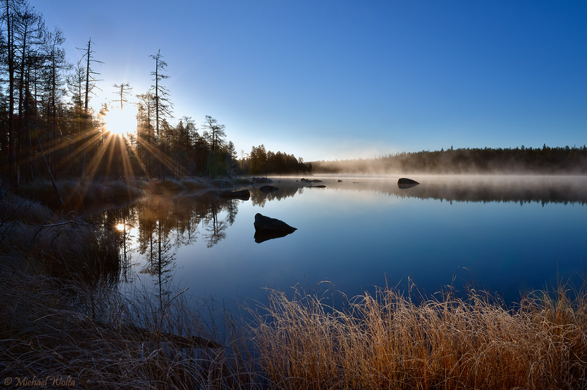 Waldsee im ersten Frost