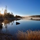 Waldsee im ersten Frost