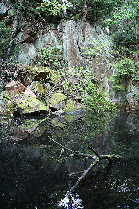 Waldsee im Harz