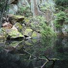 Waldsee im Harz