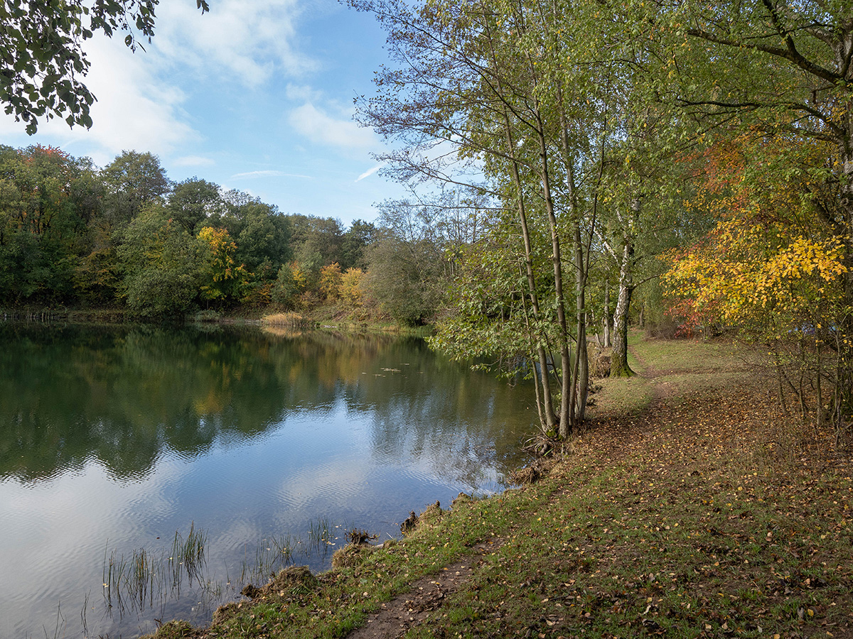 Waldsee im Herbst