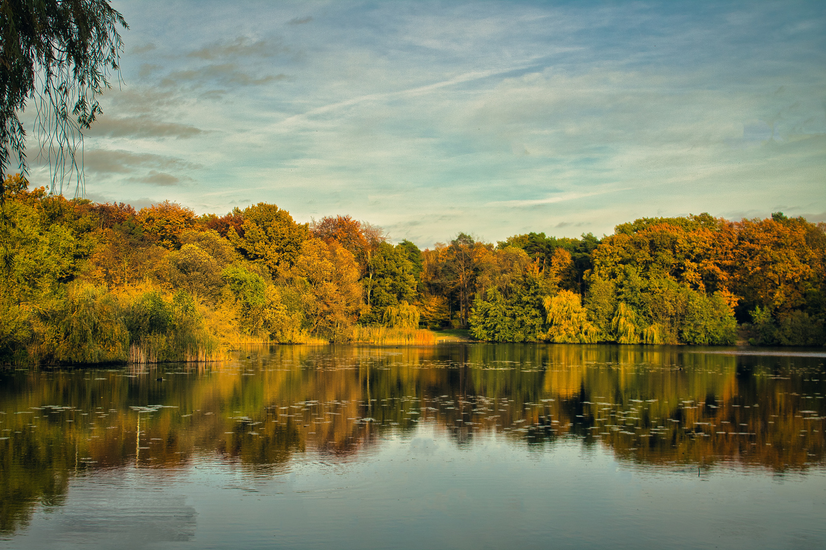 Waldsee im Herbst