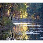 Waldsee im Herbst