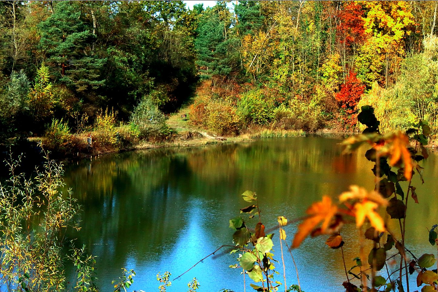 Waldsee im Herbstkleid