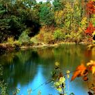 Waldsee im Herbstkleid